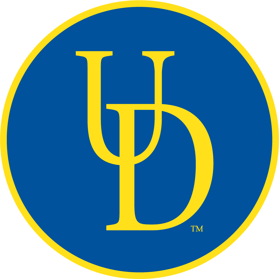 Delaware Blue Hens 1999-2009 Secondary Logo v2 iron on transfers for T-shirts